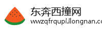 东奔西撞网